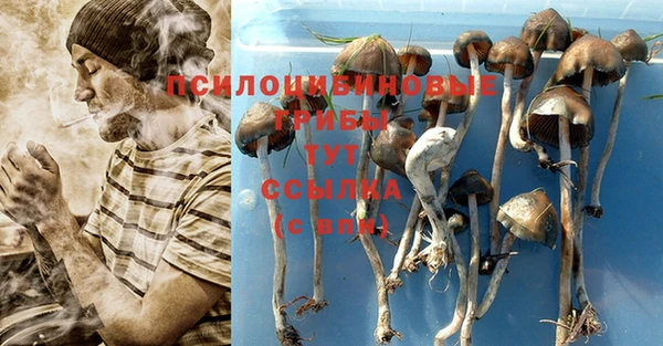 мдпв Кулебаки