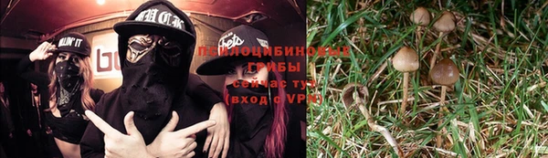 мдпв Кулебаки